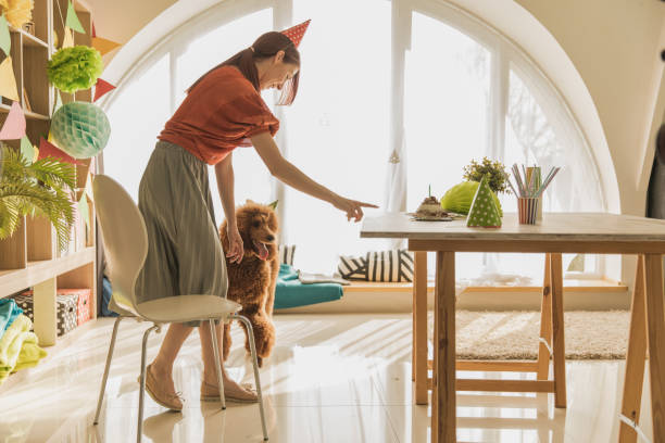 istock Birthday cake for her well-trained dog 1249106056