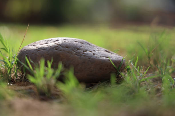 Stone