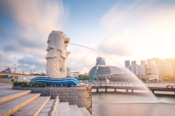 vue grand angle du paysage urbain de singapour près de la statue de merlion et de marina bay, la marina est le centre de l’économie - gardens by the bay photos et images de collection