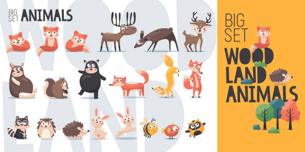 große vektor cartoon sammlung von wilden wald waldtiere: bär, fuchs, hirsch, hirsch, elch, eichhörnchen, igel, hase, vogel, eule, waschbär - bush bird tree wood stock-grafiken, -clipart, -cartoons und -symbole