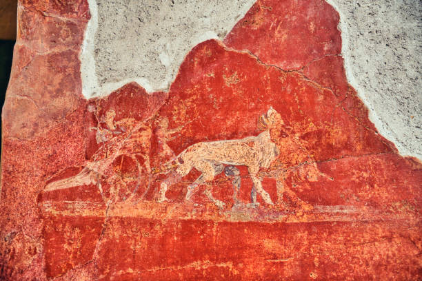 istock wall paintings at Pompeii - Italy 1249114778