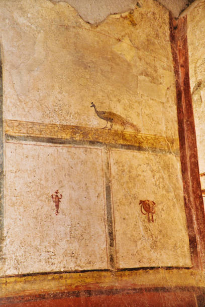 istock wall paintings at Pompeii - Italy 1249116805
