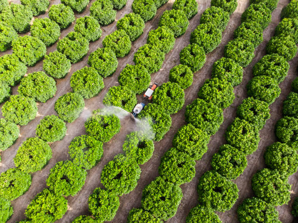 tir aérien d’un tracteur pulvérisant l’insecticide ou le fongicide sur les orangers dans un grand jardin - crop sprayer insecticide spraying agriculture photos et images de collection