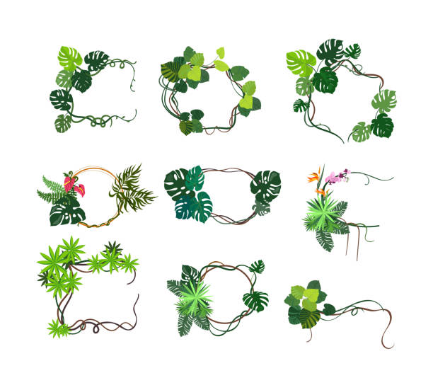 dschungel pflanzen rahmen flache icon-set - liana cartoon bush tropical climate stock-grafiken, -clipart, -cartoons und -symbole