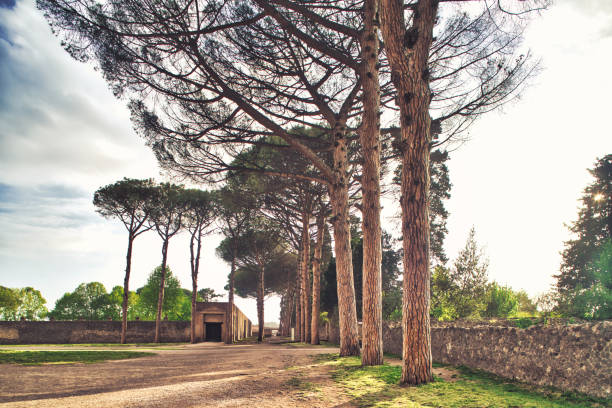 Overlooking the ruins of Pompeii. Pompeii is an ancient Roman city that was buried under 4 to 6 m (13 to 20 ft) of volcanic ash and pumice in the eruption of Mount Vesuvius in AD 79. Today Pompeii is a UNESCO World Heritage Site and is one of the most popular tourist attractions in Italy.