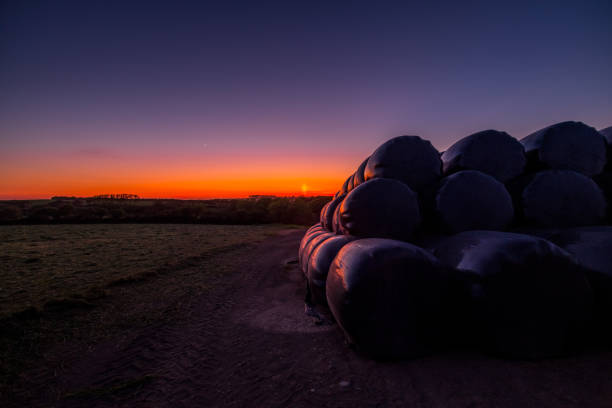 istock Plastic wrapped hay bales in a field at sunset 1249124643