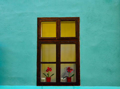 Window on blue wall with 2 flower pots in the window.