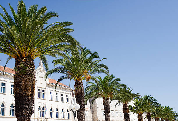 istock Mediterranean architecture in city of Trogir 124914173