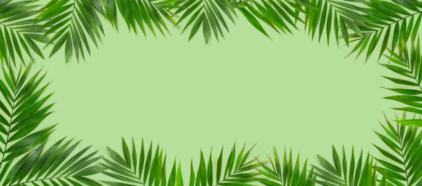 istock Green plants summer concept template for your text or design on   paper background. 1249143788