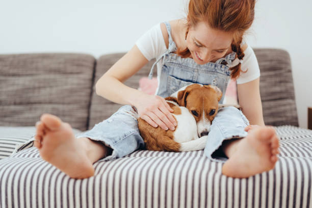 istock Happy little dog sleeping with its mistress 1249144305