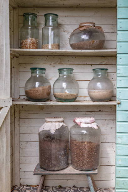istock Wooden garden closet 1249146065