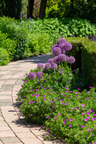 istock Colorful summer garden design 1249146121
