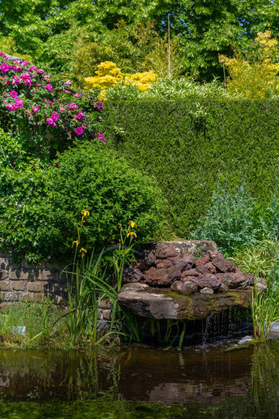 istock Colorful summer garden design 1249146122