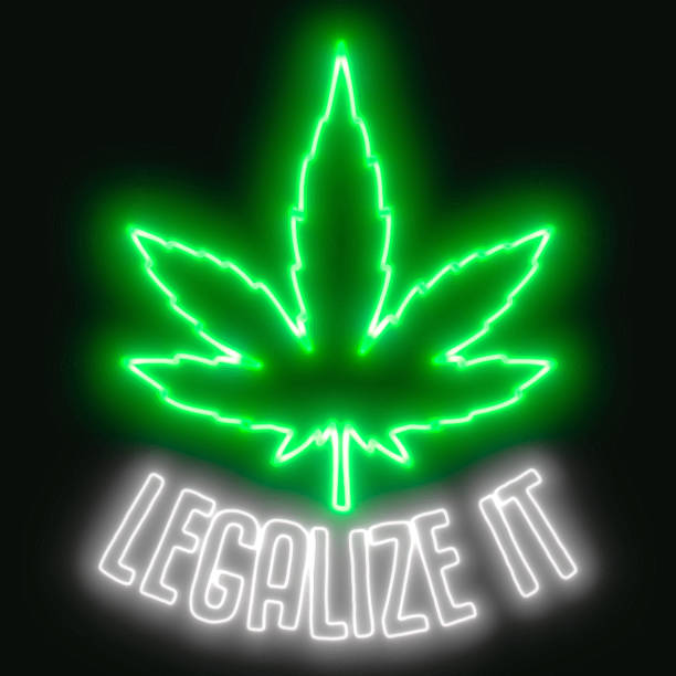 istock Neon marijuana, legalise it sign. Marijuana leaf drawing vector stock illustration 1249147154