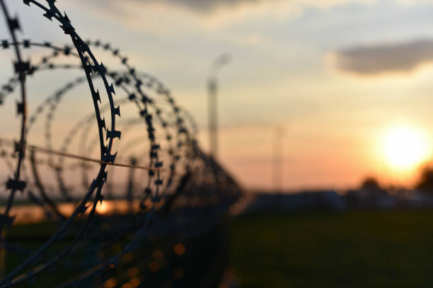 barbed wire fence barbed wire fence on the fence on sunset background jail stock pictures, royalty-free photos & images