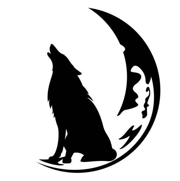 howling wolf sitting at crescent moon black vector silhouette outline lone wolf sitting at moon crescent and howling - black and white vector silhouette design moon clipart stock illustrations