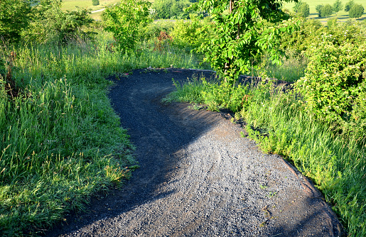 single, trail, path, pathway, mountain, bike, sprung, bikes, bend, bends, jump, jumps, forest, meadow, dark, gray, gravel, racetrack, race, enduro, motocross, city, park, public, singletrack, narrow, hill, slope, curve, curved, endurance, fast, biker, bmx, down, sunrise, czech, threshing, nature, bridge, wood, tree, green, landscape, water