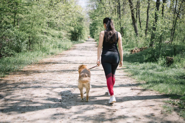 istock Girl walking on forest road with dog 1249155203