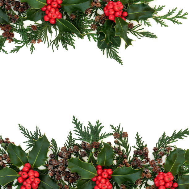 istock Winter Holly Ivy and Cedar Background Border 1249156181