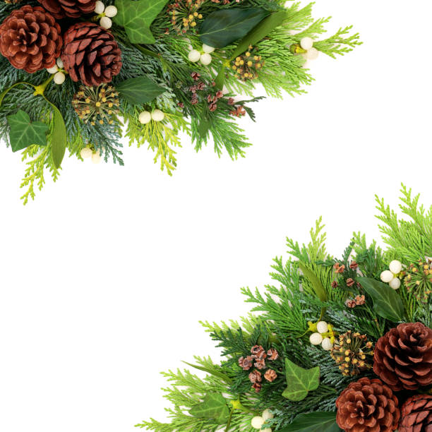 istock Winter and Christmas Greenery Background Border 1249156270