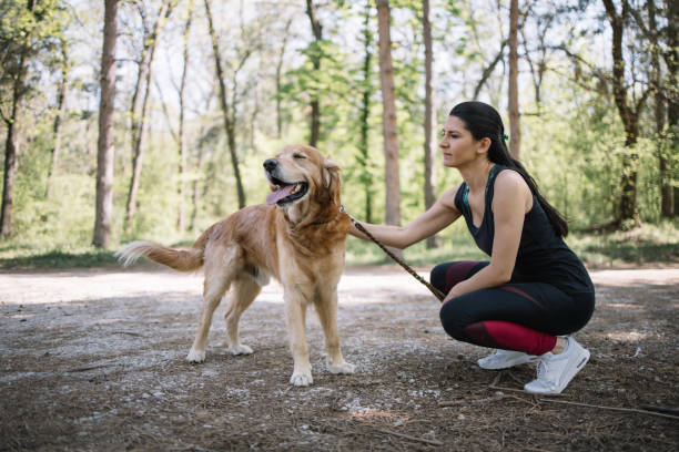 istock Young woman and dog resting on forest path 1249156552