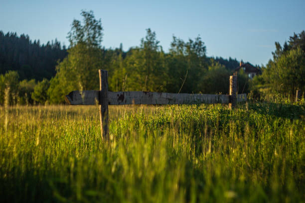 istock Wooden fence in meadow 1249157587