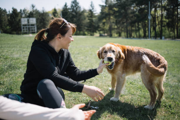 istock Girl holding ball while dog is trying to bite it 1249158355