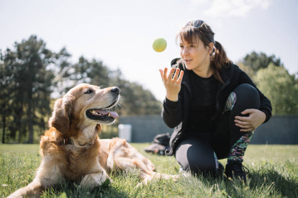 istock Blurred woman throwing ball while squatting next to dog in park 1249158434
