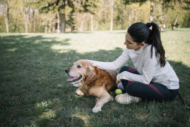 istock Girl caring dog which is lying on meadow 1249158734