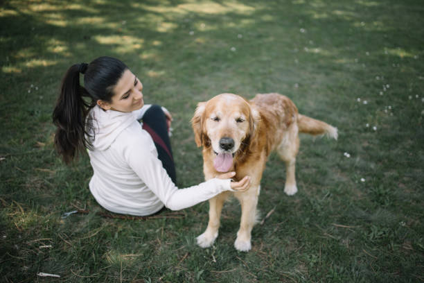 istock Dog standing on meadow while woman is petting him 1249158929