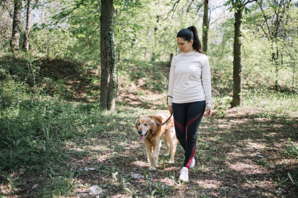 istock Lady with dog walking on forest route 1249160073