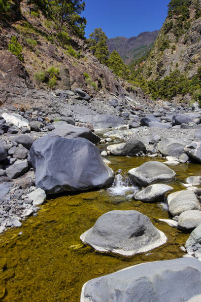 istock Barranco de las Angustias, Caldera de Taburiente National Park 1249160122