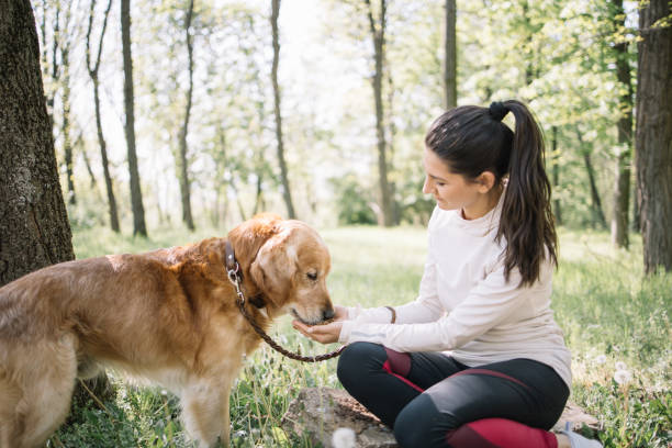 istock Dog eating from woman's hand in forest 1249160576