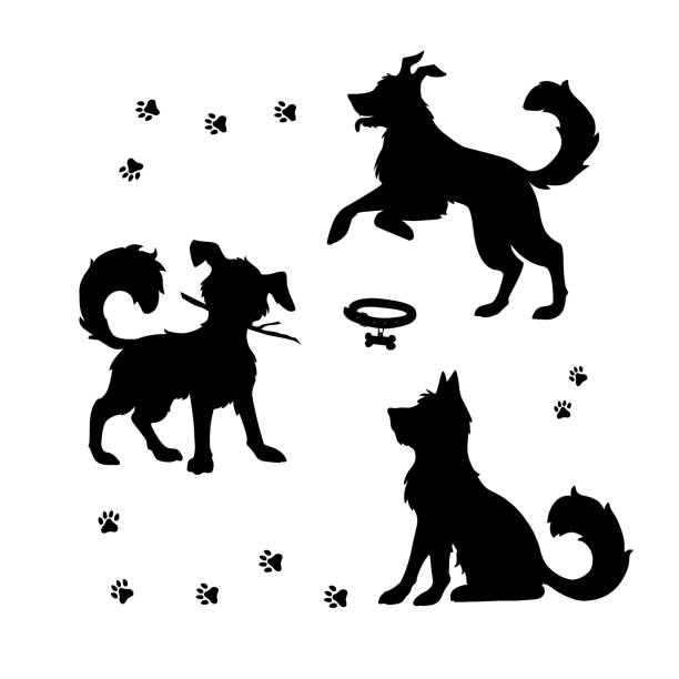 Untitled-1 Vector set of dogs silhouette with paw prints and collar. Isolated objects on white background. cartoon of a shaggy dog stock illustrations