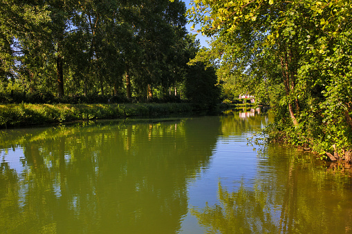 the natural Poitevin marsh on France