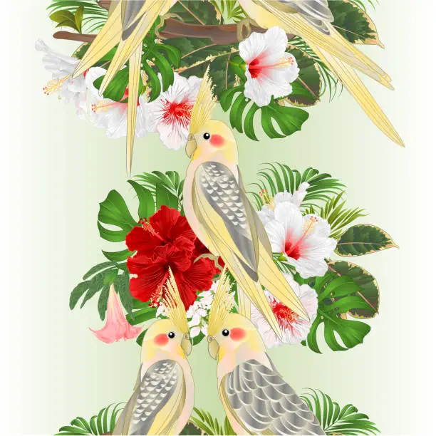 Vector illustration of Vertical border seamless background   parrots yellow cockatiel cute tropical bird  and red and white hibiscus watercolor style on a green background vintage vector illustration editable