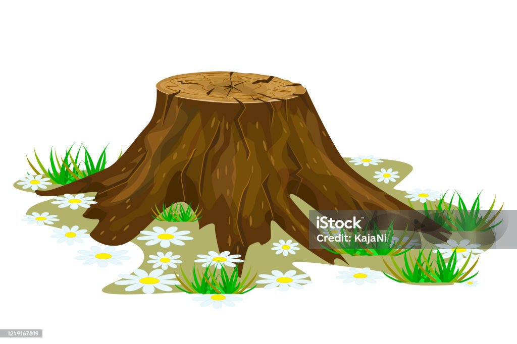 Tree Stump Isolated On White Background Stock Illustration - Download Image  Now - Tree Stump, Removing, Tree - iStock