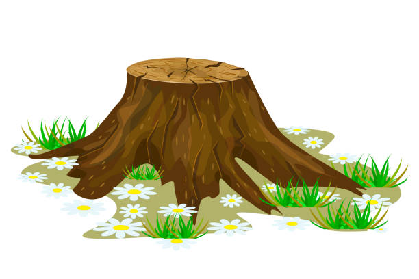75 Cartoon Of Cutting Down Trees Illustrations & Clip Art - iStock 75 Cartoon Of Cutting Down Trees Illustrations & Clip Art - iStock