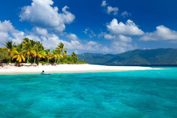 view of a tropical beach on a deserted island, Sandy Cay, British Virgin Islands