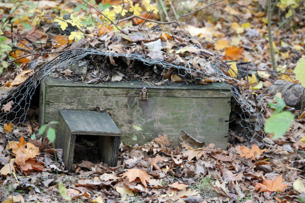 istock Wooden hedgehog home 1249174538