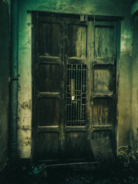 istock old house door with green background 1249176292