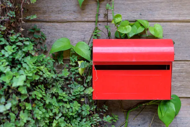 Photo of Red mailbox On the walls and trees