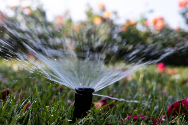 istock water sprinkler macro shot in day 1249183117