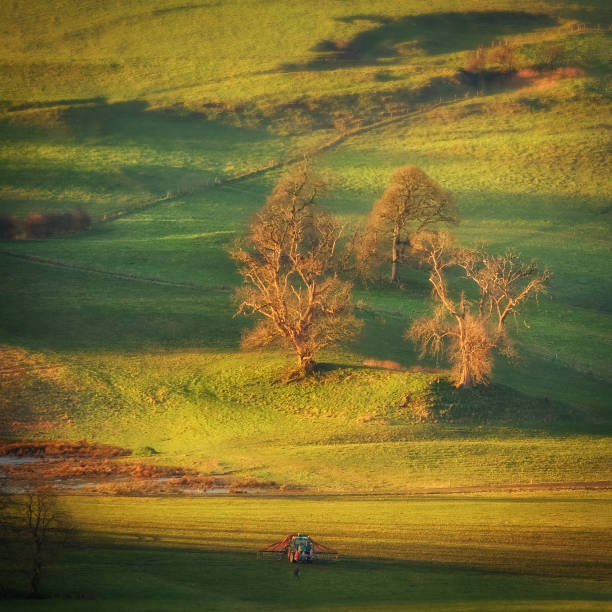 Morning rural landscape
