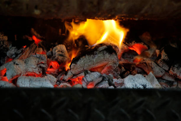 istock meal cooking with gas fire and wood 1249187906