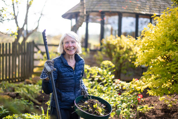 gardening with a smile - environmental portrait imagens e fotografias de stock