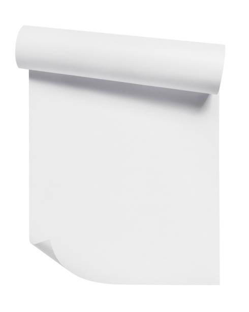 curled blank paper sheet on white - rolled up imagens e fotografias de stock