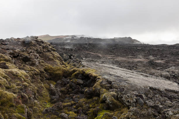 apokaliptyczny palenie czarny krajobraz krateru krafla z żywym zielonym mchem. - sulphur landscape fumarole heat zdjęcia i obrazy z banku zdjęć