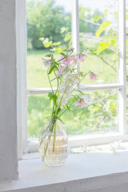 istock summer flowers in vase on windowsill in sunlight 1249193413