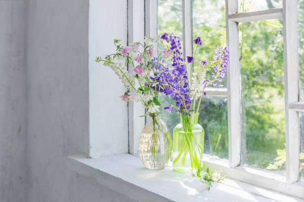 istock summer flowers in vase on windowsill in sunlight 1249193415
